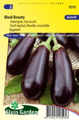 Eggplant Black Beauty (Solanum) 100 seeds SL